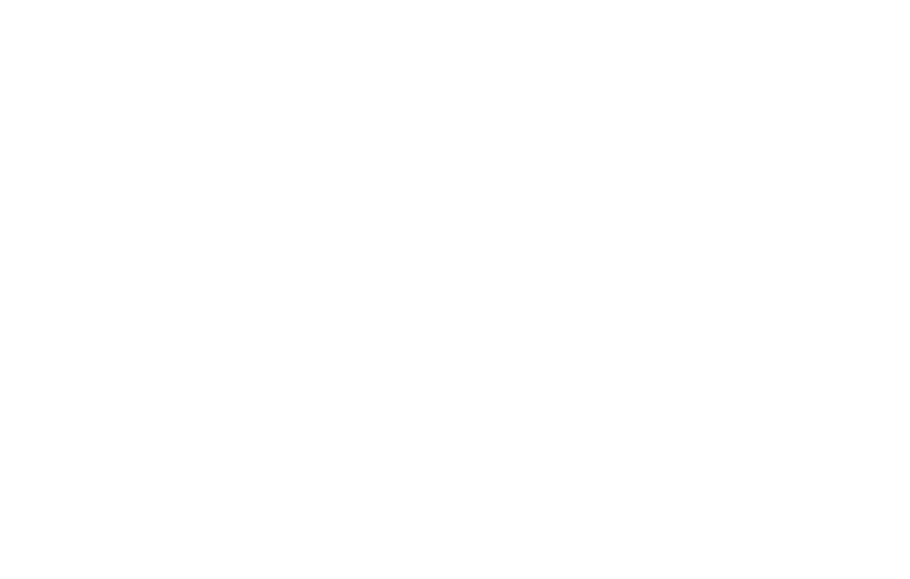 LINT interieur logo wit op zwart