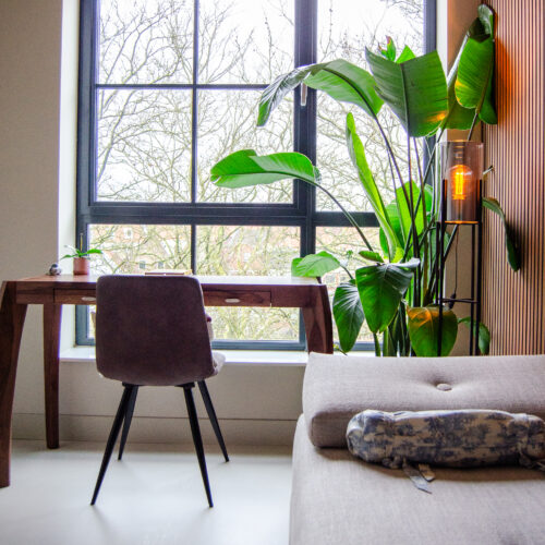 Nieuwbouw Appartement Bergen op zoom interieuradvies Arte behang Lattenwand
